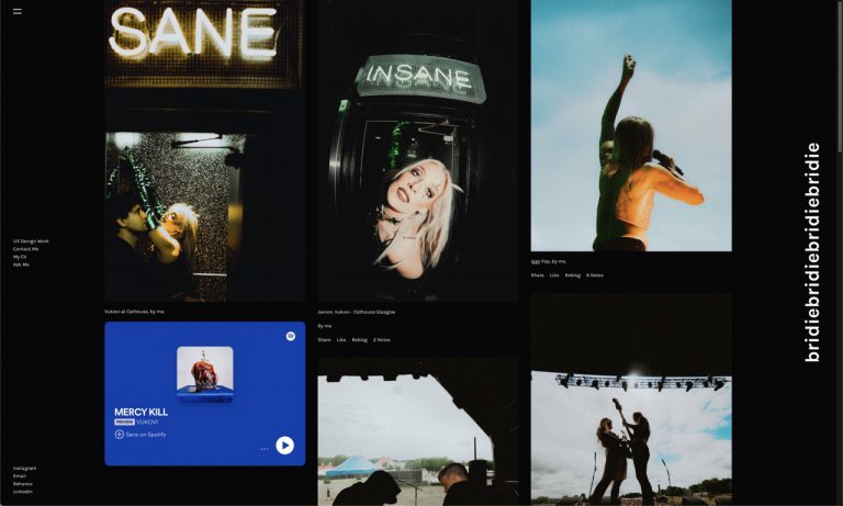 bridiebridiebridiebridie.tumblr.com – Tumblr blog using the Scarface Tumblr theme by Stash Themes
