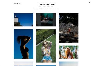 Tuscan Leather Tumblr theme preview – blog and multiple columns layout, premium Tumblr theme by Stash Themes