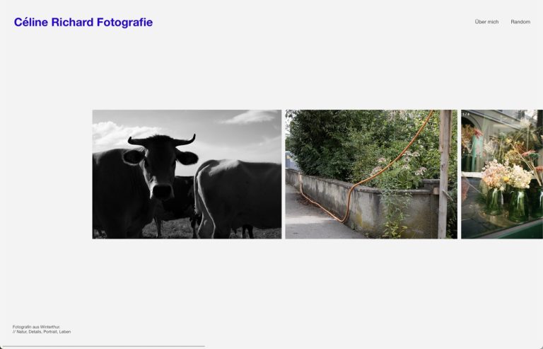 ichbidceline.tumblr.com – Tumblr blog using the Panorama Tumblr theme by Stash Themes